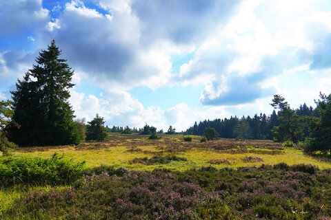 Lente-in-Sauerland-Winterberg